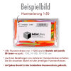 Regenbogenlose, Gewinnlose 1 - 100, optional mit Nieten & Aufklebenummern