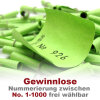 Röllchenlose grün, Farbenlotterie,  50 Gewinnlose, mögliche Nummerierung 1 - 1000 351 - 400